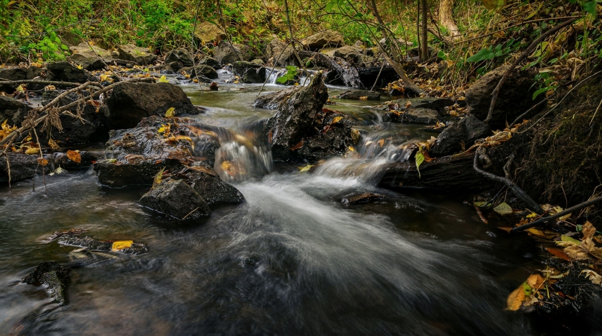 water in a stream rushing over rocks in a wooded setting