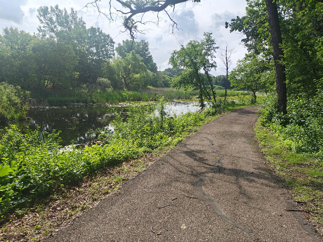 Photo by Andrew Ferri