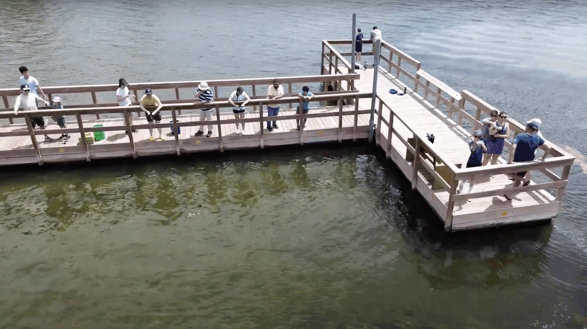 several people fishing from a T-shaped wooden pier