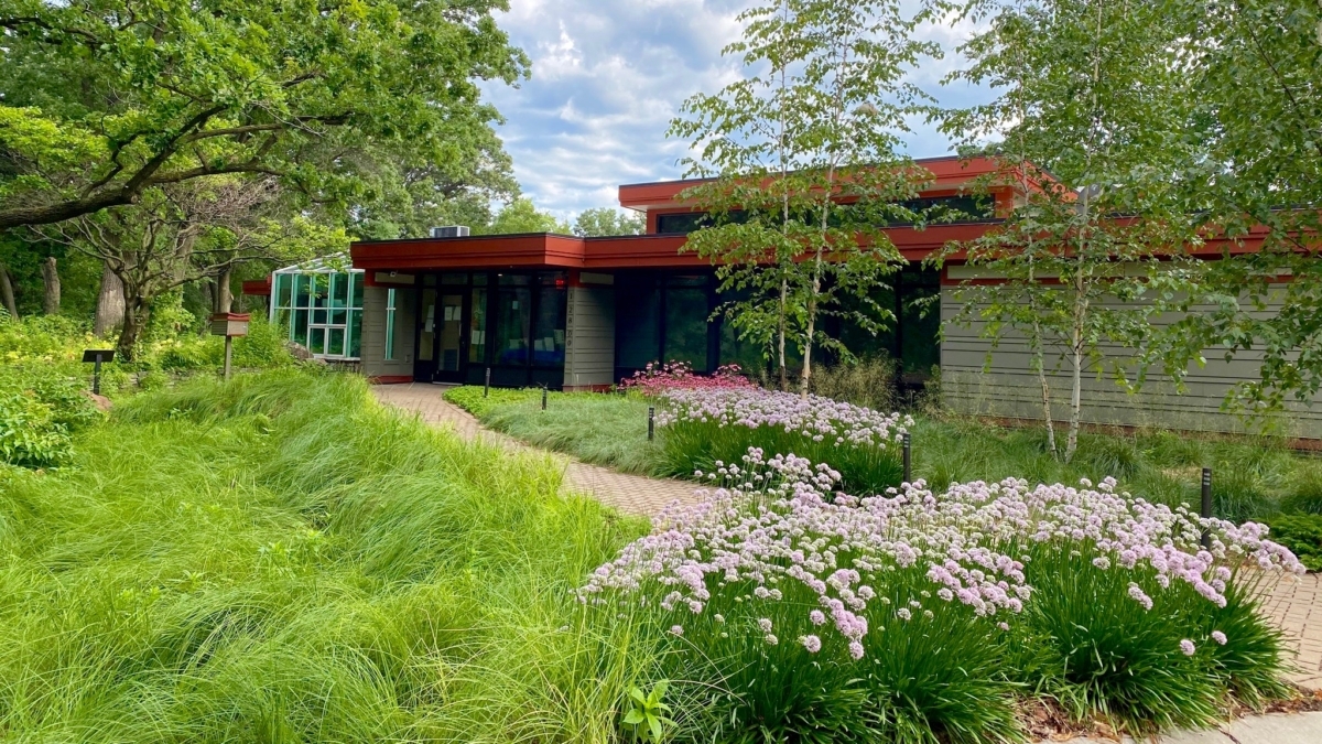 building surrounded by wildflowers, sedges and trees