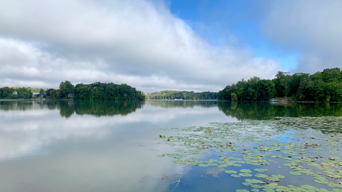 calm lake with lily pads and clouds