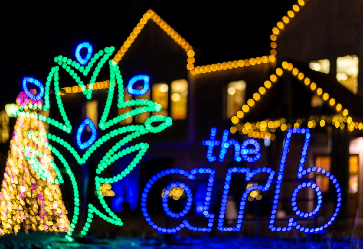 Winter Lights, Adult Night Out